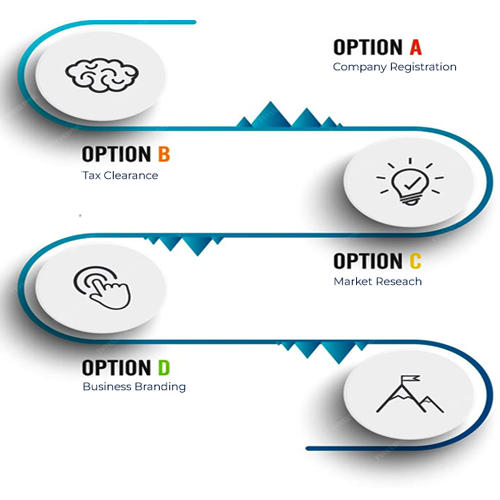 Company Registration Info Graphics